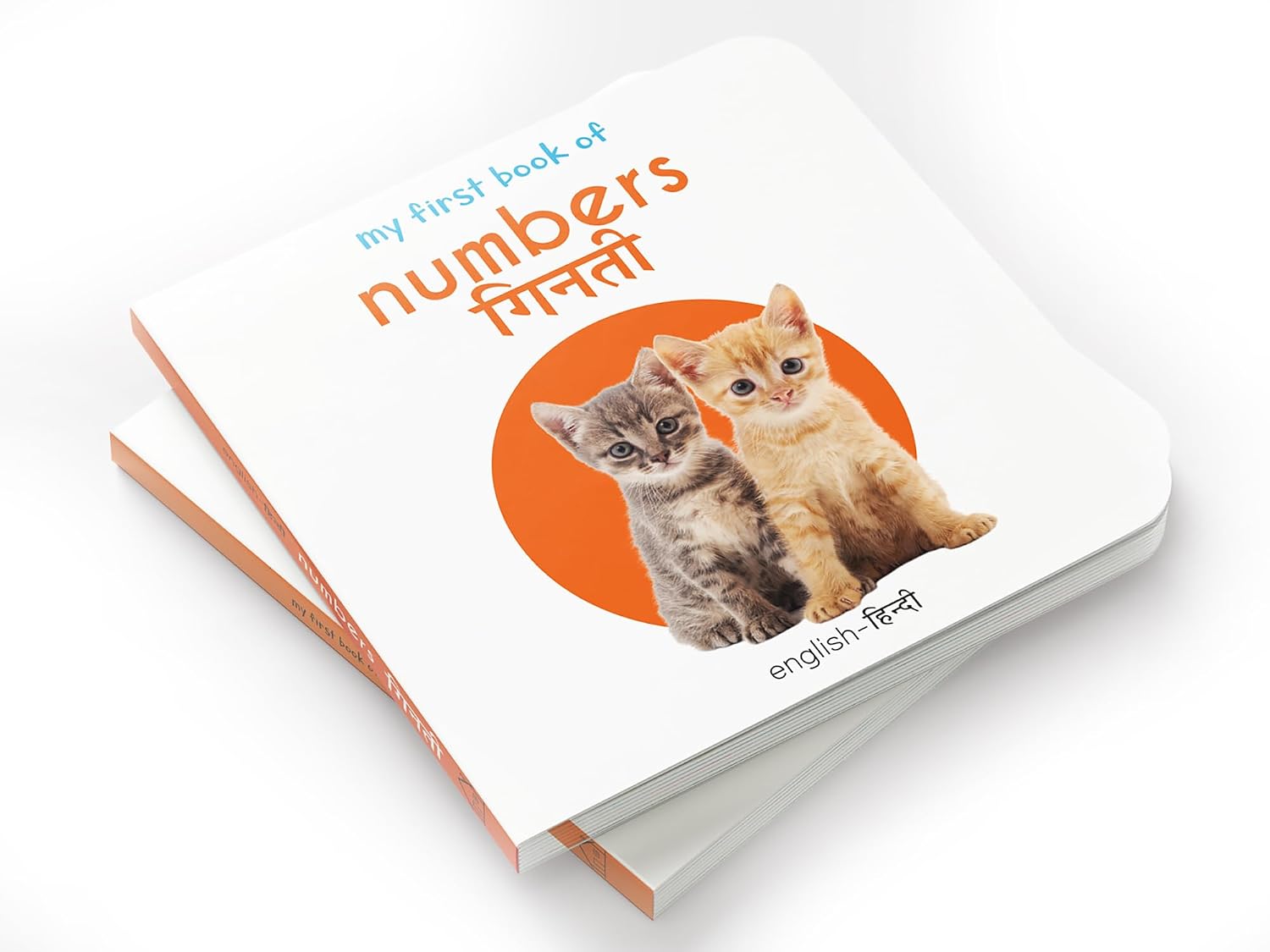 My First Book of Numbers (English-Hindi) | Beetle Bookshop