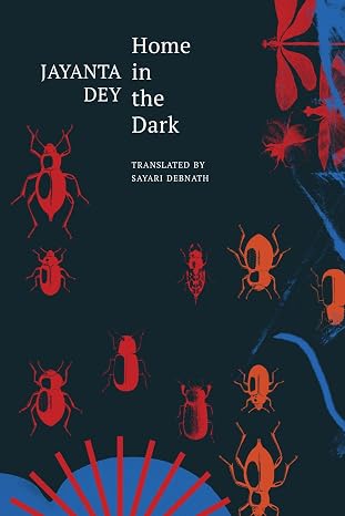 Home in the Dark: Selected Stories (The India List) - Jayanta Dey
