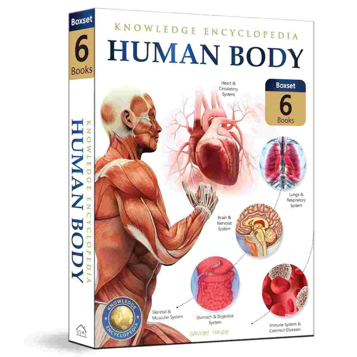 Human Body Box Set: Knowledge Encyclopedia For Children (6 Books) - Wonder House Books