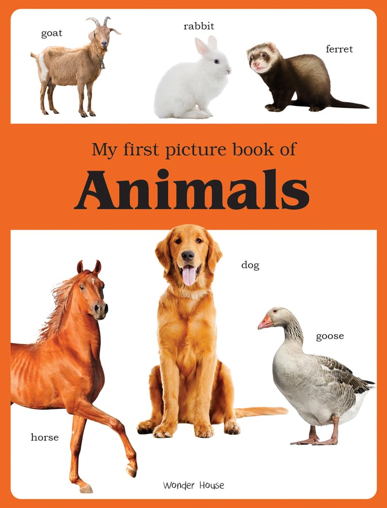 My First Picture Book of Animals | Wonder House | Beetle Bookshop