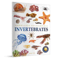 Animals: Invertebrates (Knowledge Encyclopedia For Children) By Wonder House BooksAnimals: Invertebrates (Knowledge Encyclopedia For Children) By Wonder House Books