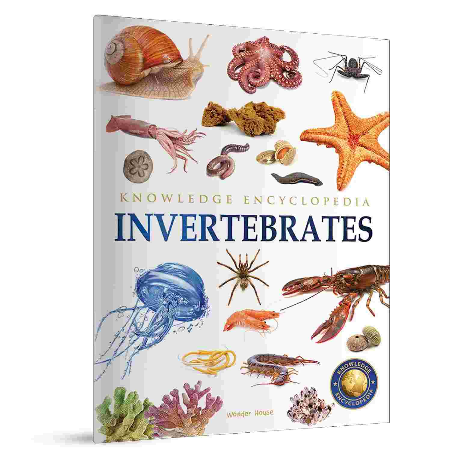 Animals: Invertebrates (Knowledge Encyclopedia For Children) By Wonder House BooksAnimals: Invertebrates (Knowledge Encyclopedia For Children) By Wonder House Books