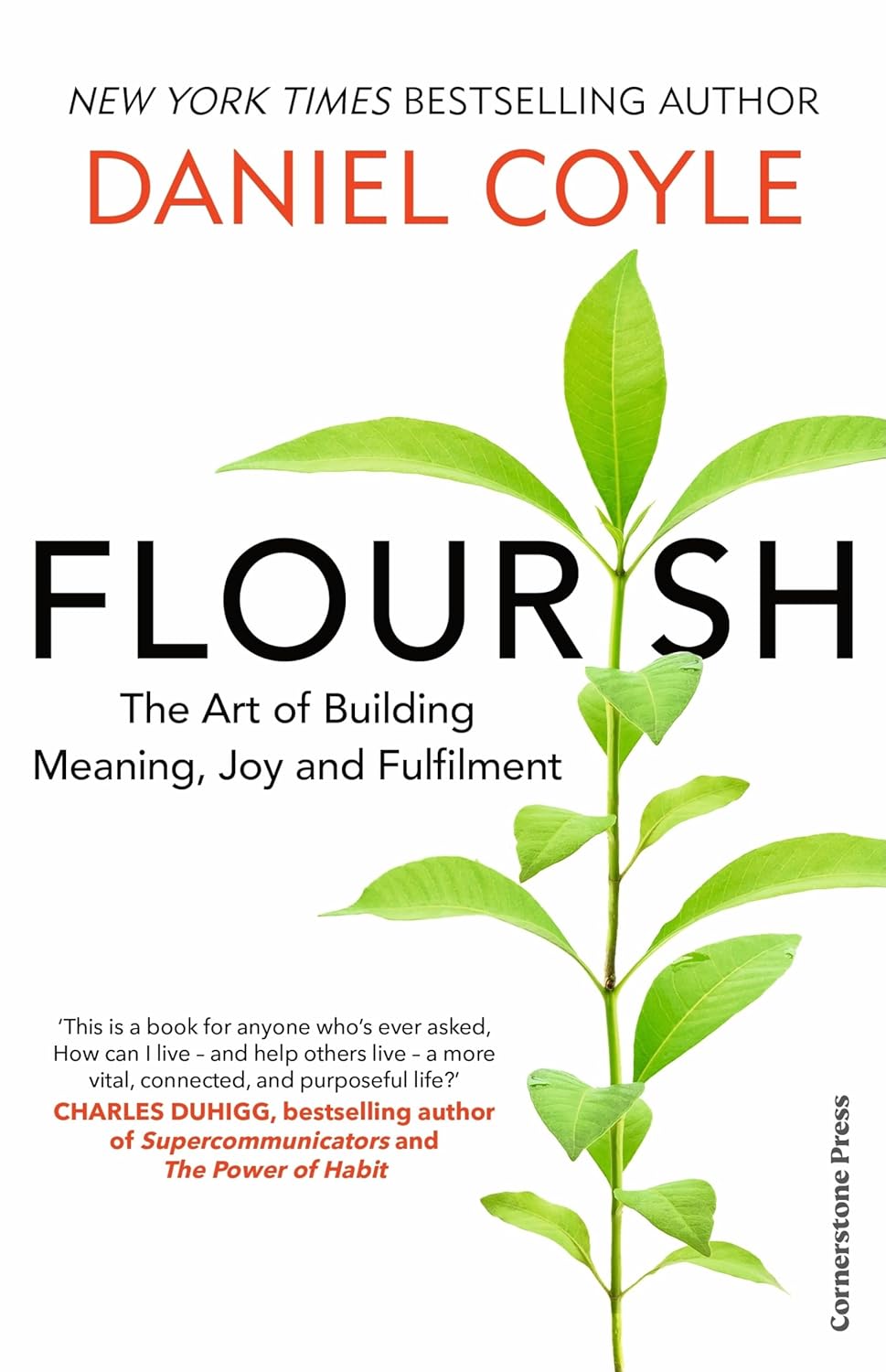Flourish: The Art of Building Meaning, Joy and Fulfilment By Daniel Coyle
