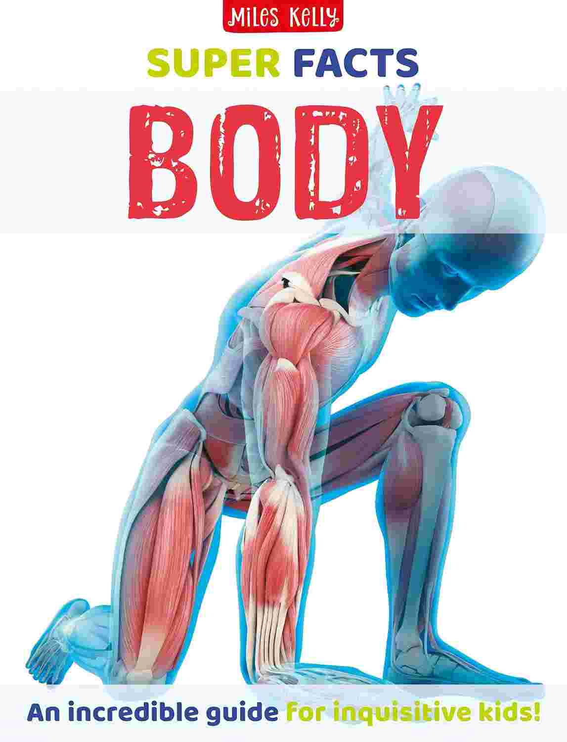 Super Facts Body