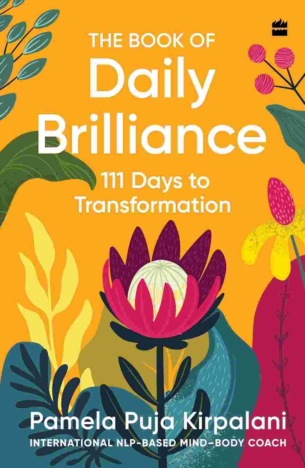 Book of Daily Brilliance: 111 Days to Transformation