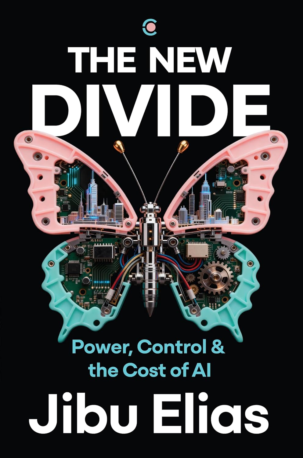 The New Divide: Power, Control & the Cost of AI - Jibu Elias