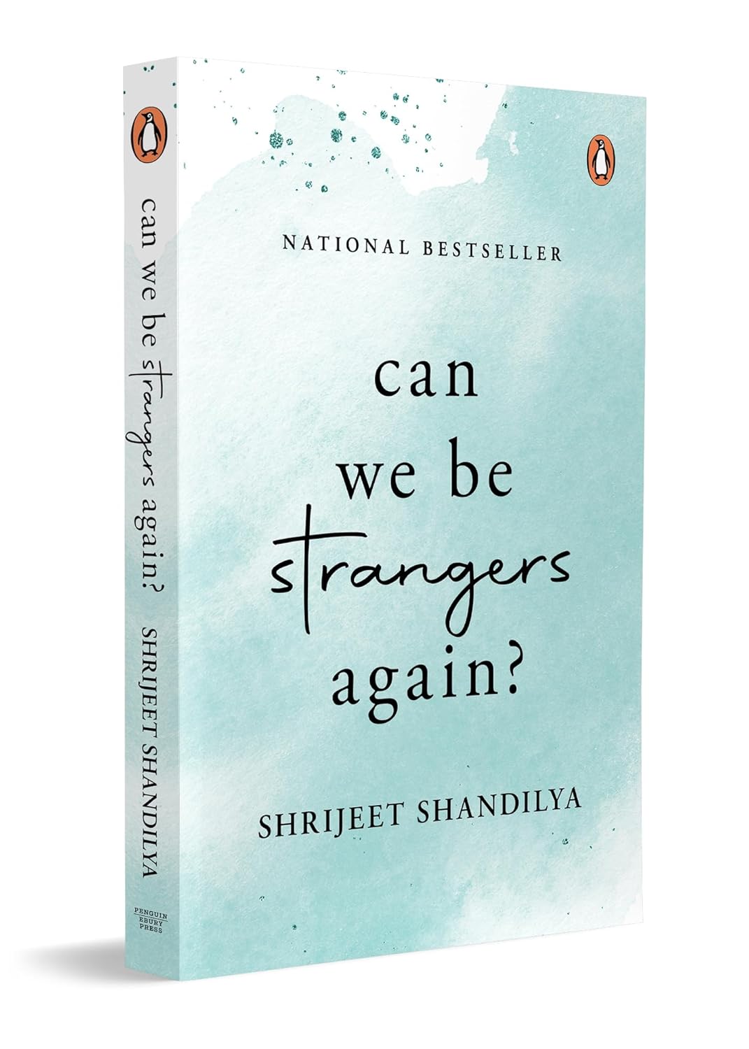 Can We be Strangers Again? | Shrijeet Shandilya