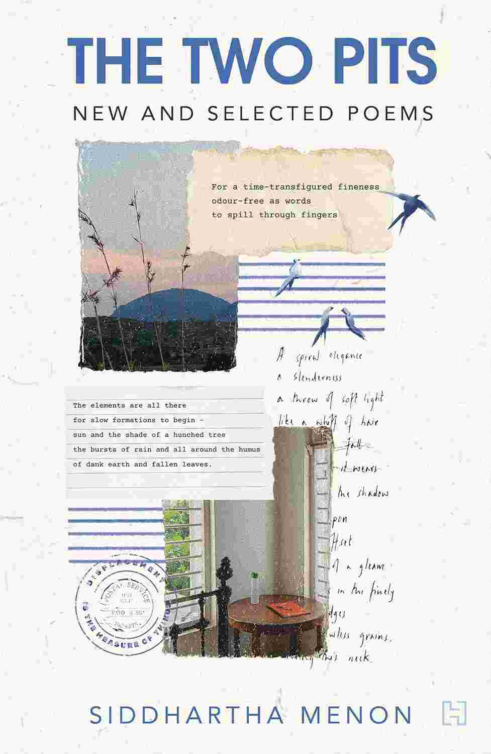 The Two Pits: New and Selected Poems - Siddhartha Menon | Buy Online at Beetle Bookshop