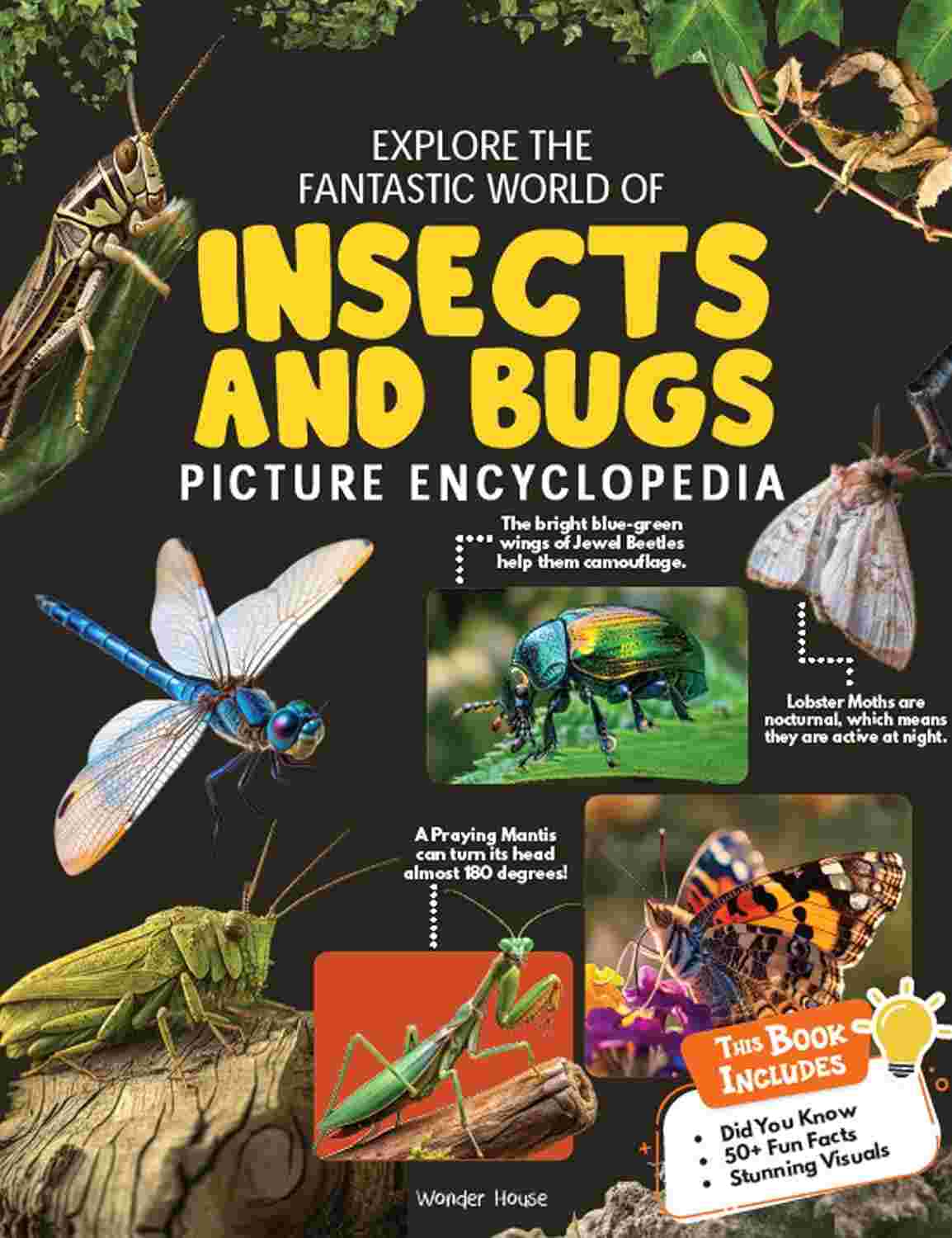 Picture Encyclopedia: Insects and Bugs By Wonder House Books