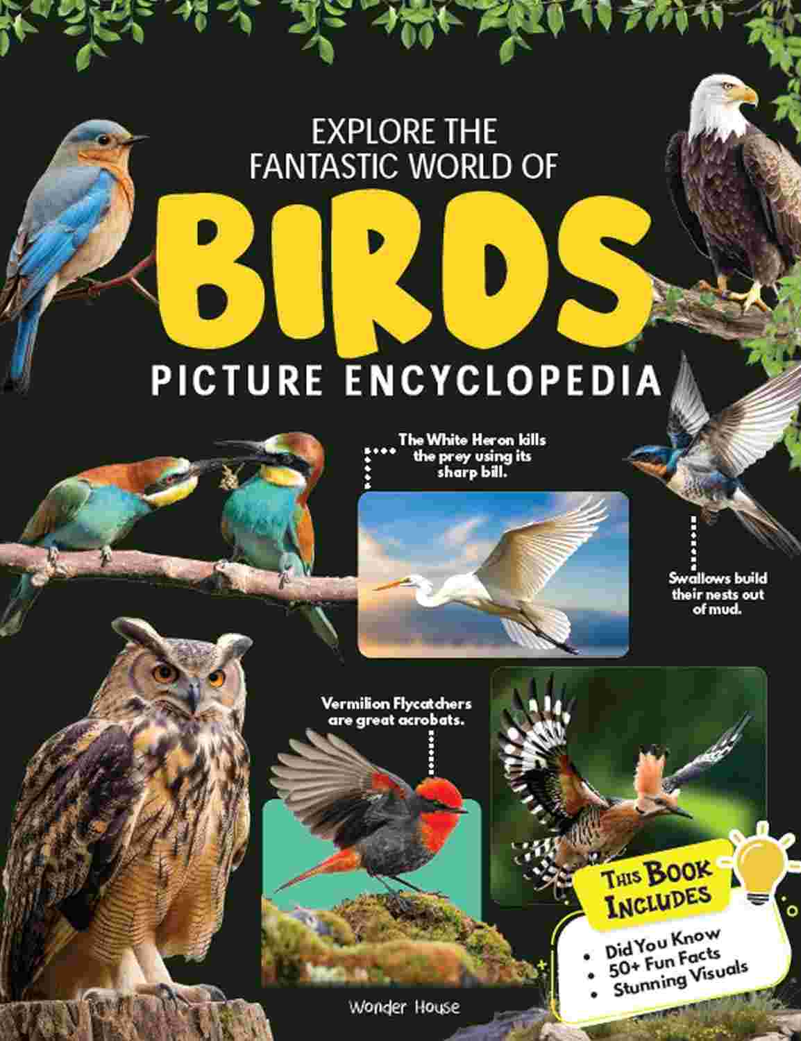 Picture Encyclopedia: Birds By Wonder House Books