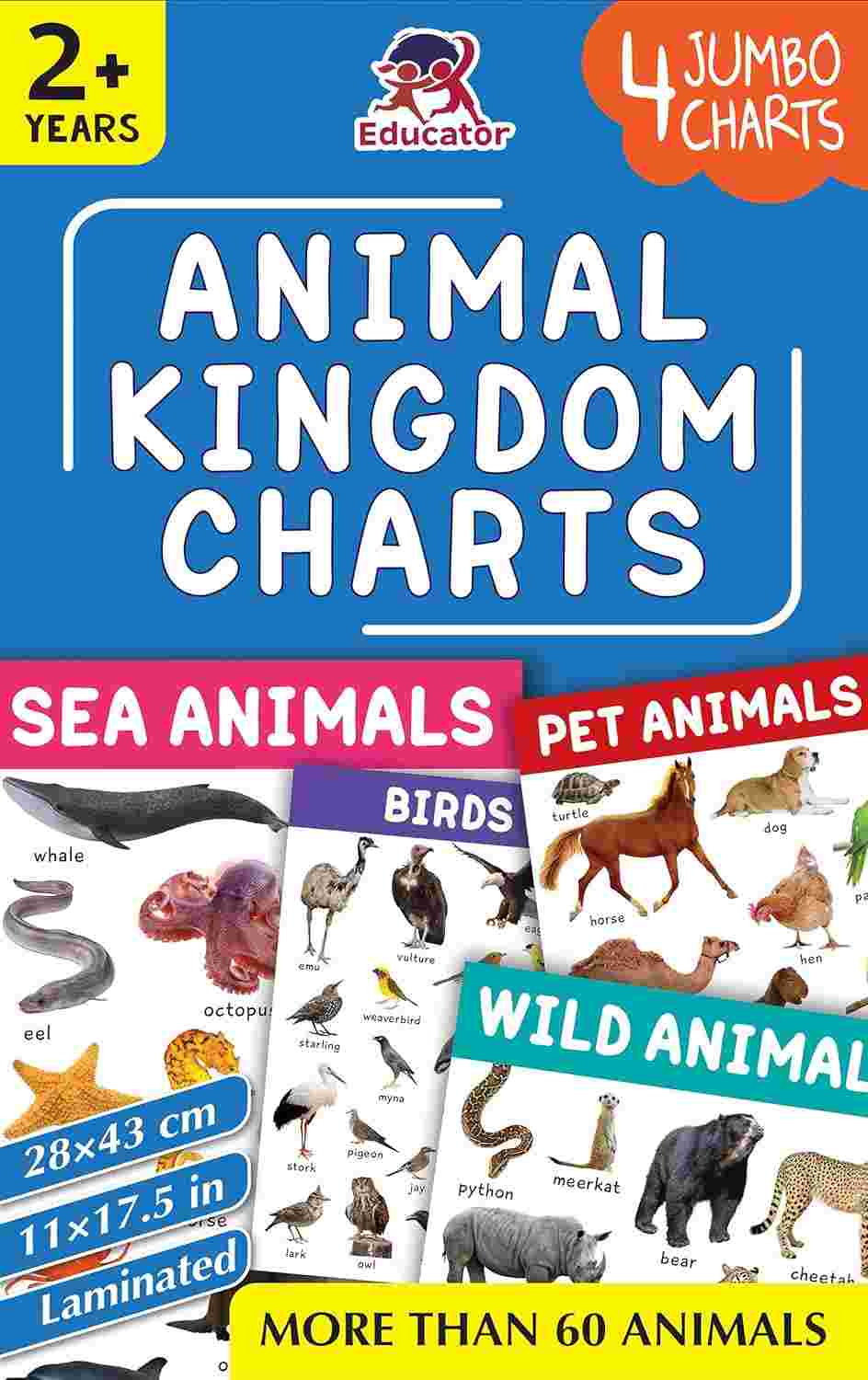 Animal Kingdom Jumbo Learning Charts: 4-Pack Set by Team Pegasus