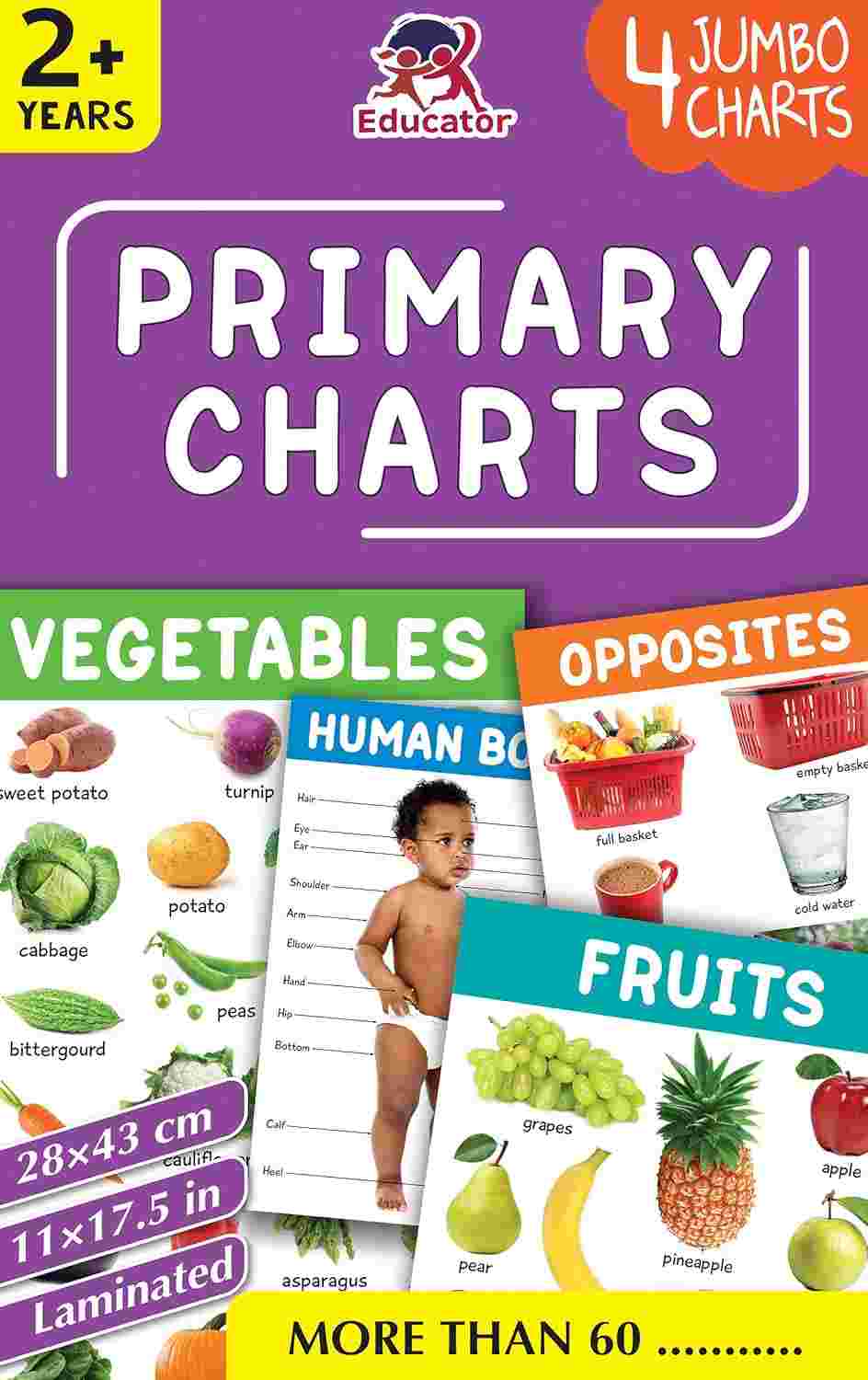 Primary Jumbo Learning Charts: 4-Pack Set by Team Pegasus