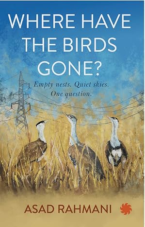 WHERE HAVE THE BIRDS GONE? : Empty nests. Quiet skies. One question.
