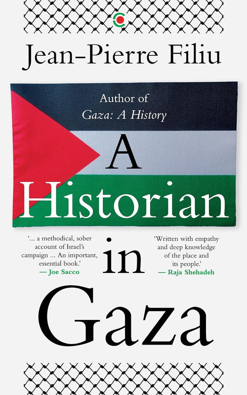 A Historian in Gaza by Jean - Pierre Filiu - Beetle Book Shop