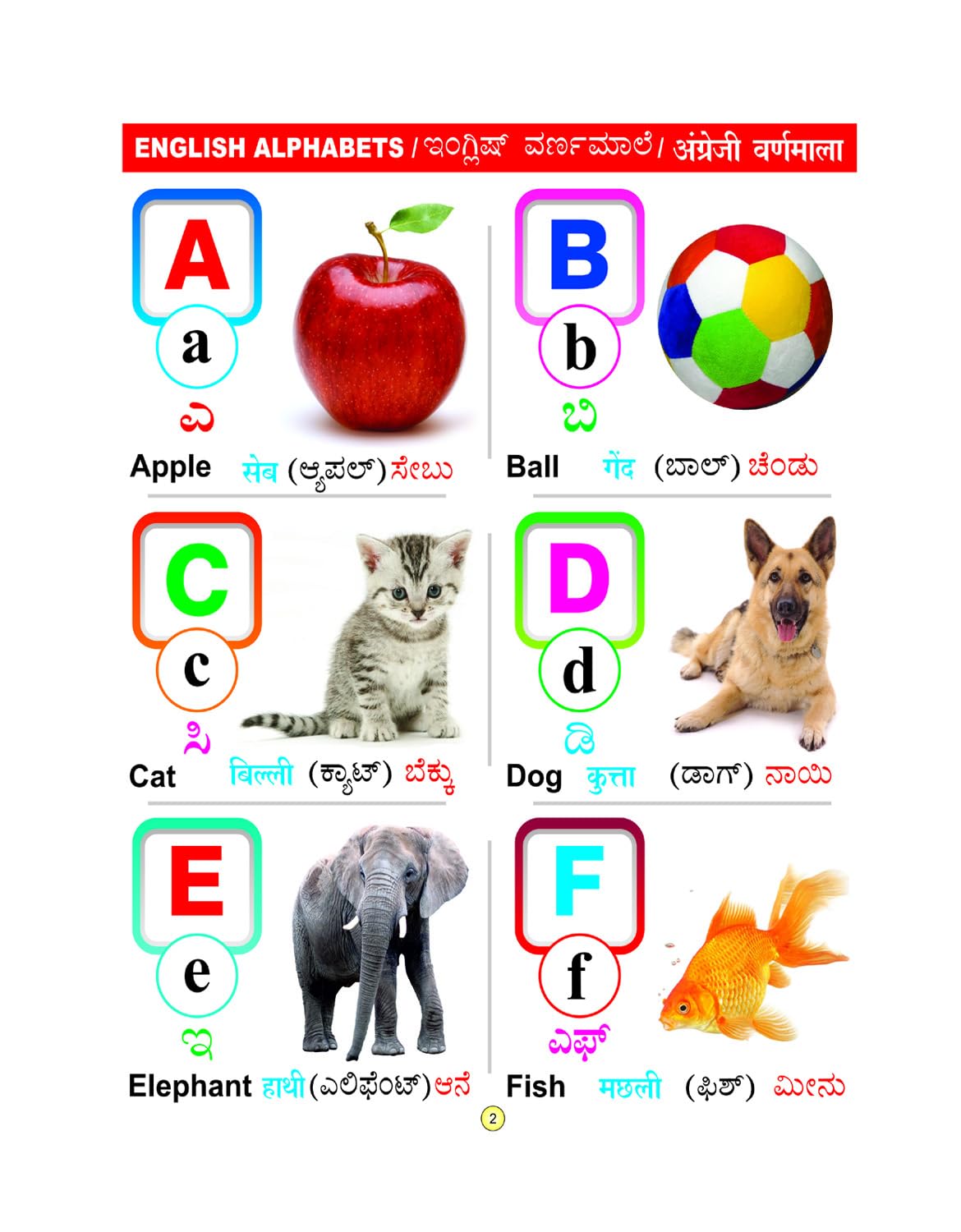 All in One English - Kannada Big Board Book for Kids : Early Learning Picture Book for Childern of Age 2+ Years Board book - Beetle Book Shop