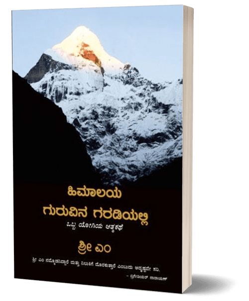 Apprenticed to a Himalayan Master (Kannada) - Beetle Book Shop