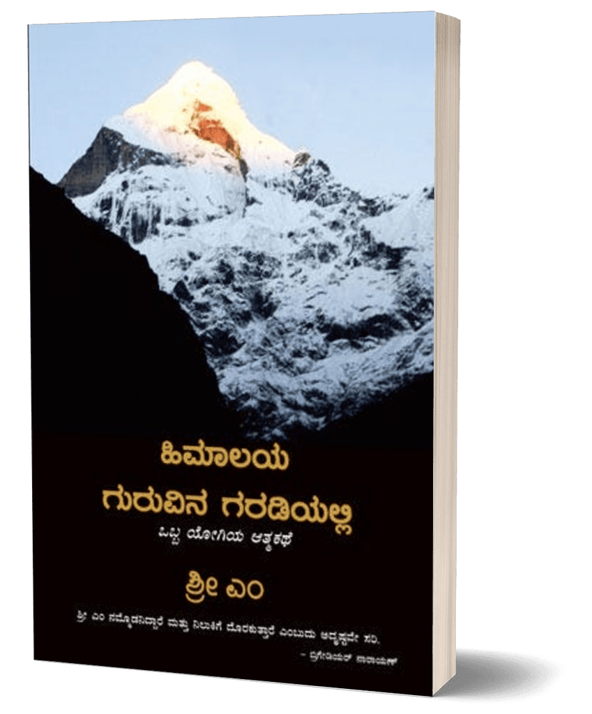 Apprenticed to a Himalayan Master (Kannada) - Beetle Book Shop
