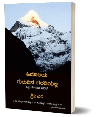 Apprenticed to a Himalayan Master (Kannada) - Beetle Book Shop