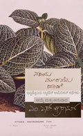 ನದಿಯ ಮೂರನೆಯ ದಂಡೆ |  ಲ್ಯಾಟಿನ್ ಅಮೆರಿಕನ್ ಕಥೆಗಳು | Beetle Bookshop