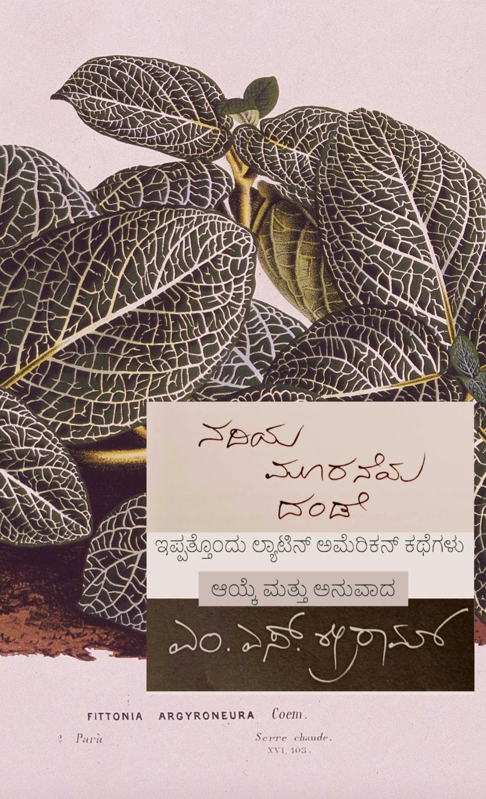 ನದಿಯ ಮೂರನೆಯ ದಂಡೆ |  ಲ್ಯಾಟಿನ್ ಅಮೆರಿಕನ್ ಕಥೆಗಳು | Beetle Bookshop