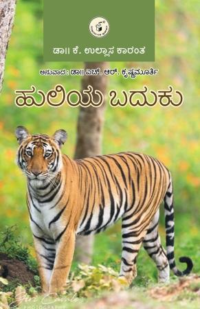 HULIYA BADUKU - Beetle Book Shop