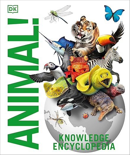 Knowledge Encyclopedia - Animals - Beetle Book Shop
