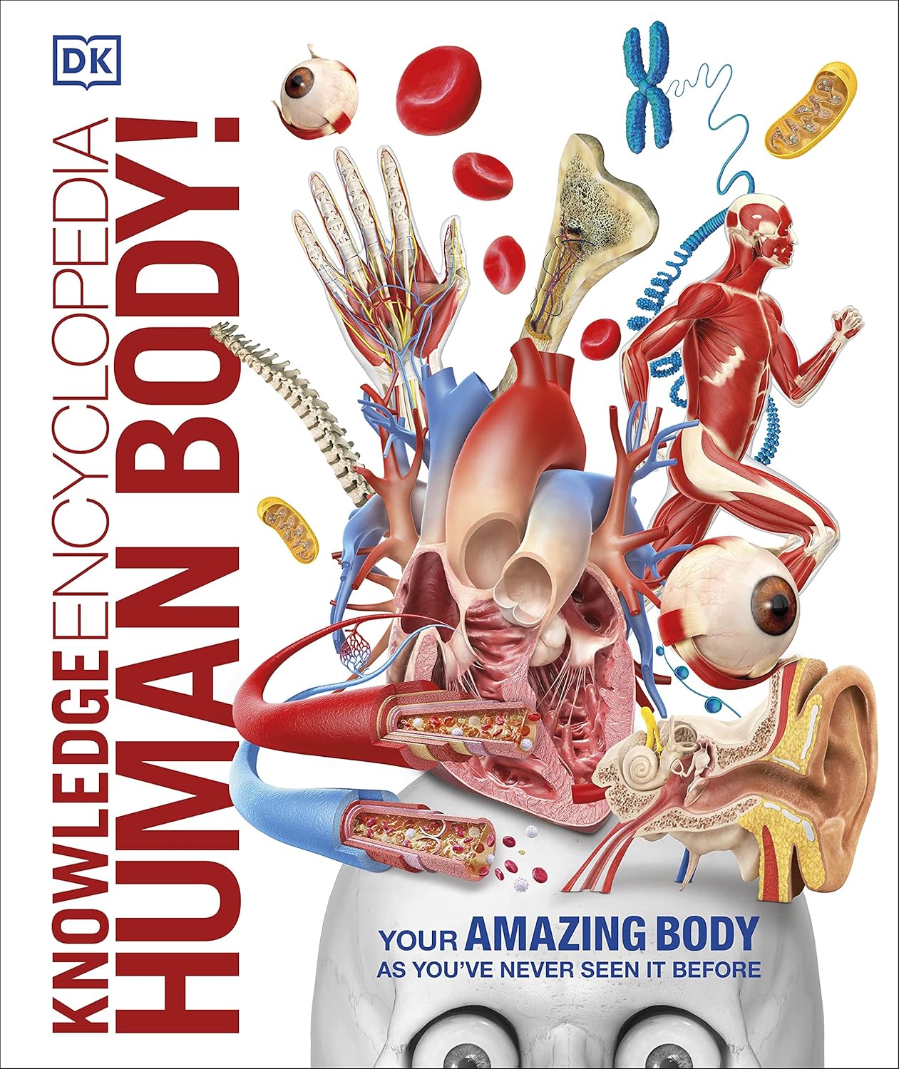 Knowledge Encyclopedia - Human Body - Beetle Book Shop