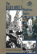 The Barn Owl’s Wonderous Capers - Beetle Book Shop