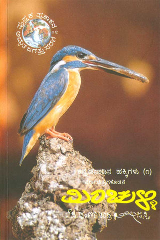 Minnchulli book by kp poornachandra tejasvi