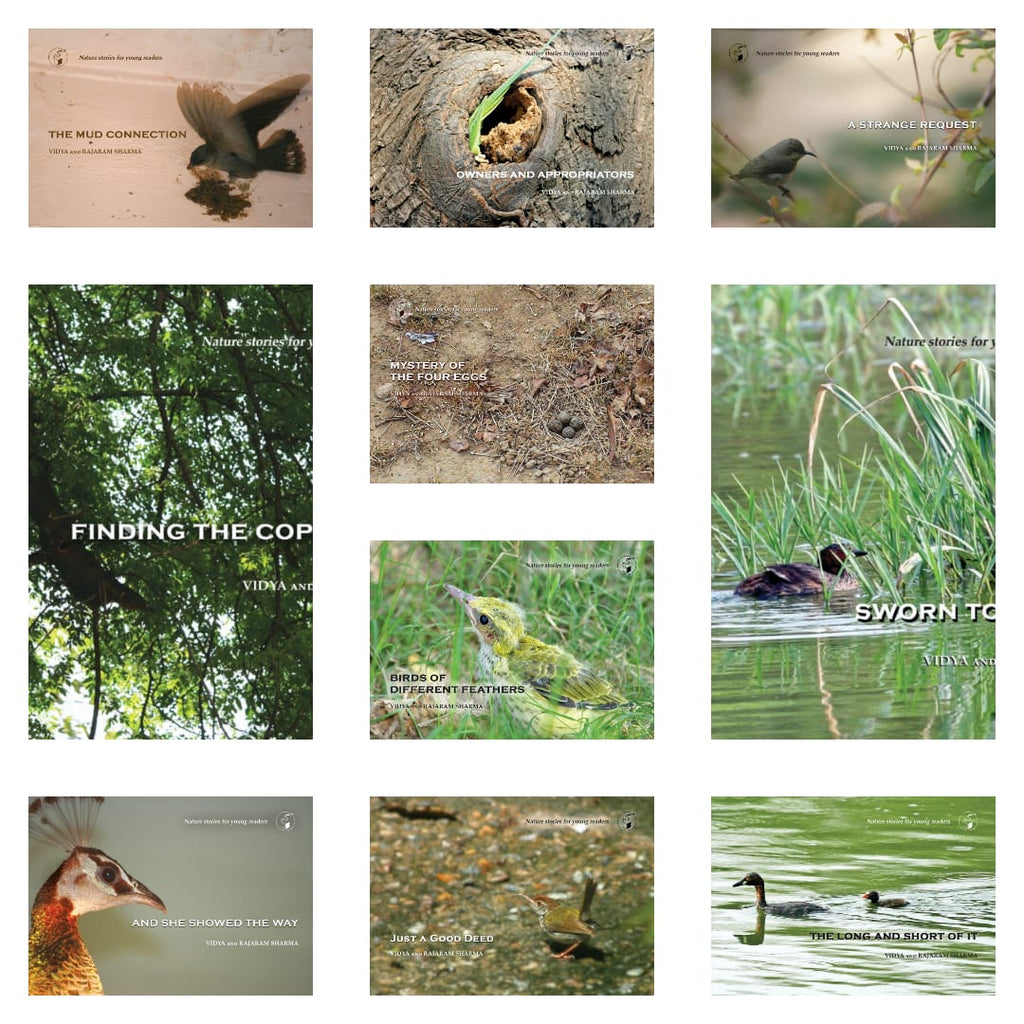 Nature Stories for Young Readers (Set of 10 Books) - Beetle Book Shop